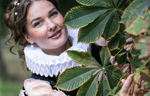 Sanatate prin arte - Trainer Angelica Baciu